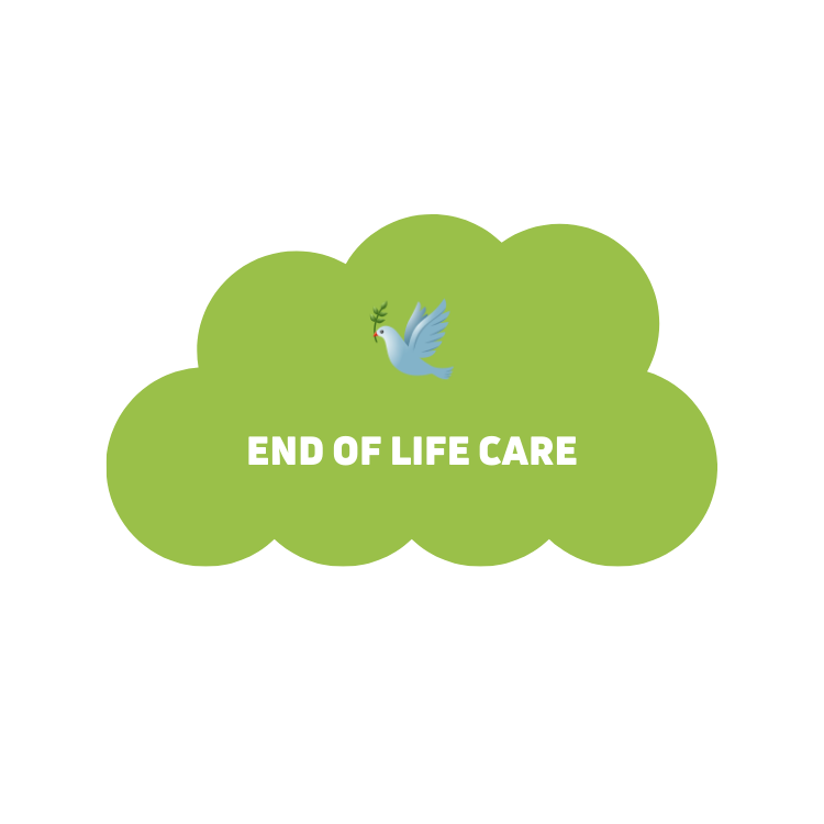 End of Life Care in England
