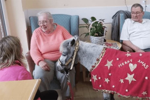 Pet-Therapy-and-Bird-Watching-at-Senior-Care-Home