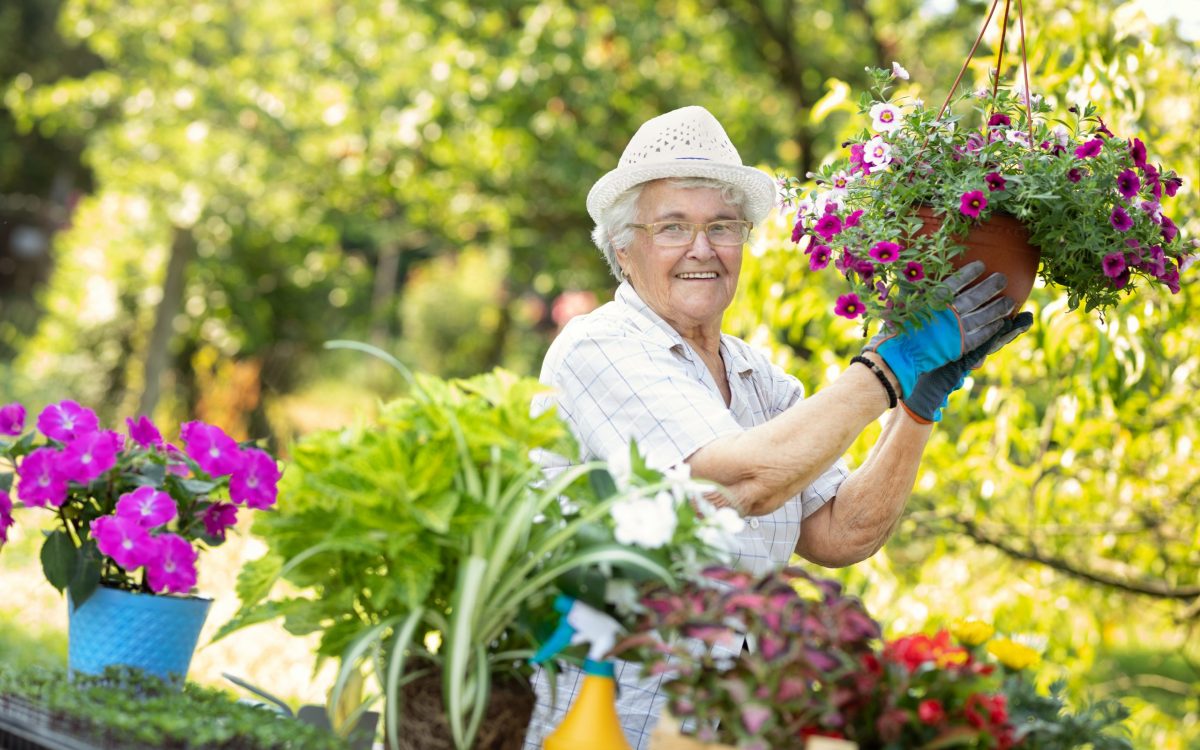 Proud senior woman with blooming flowers Proud senior woman smiling and holding her blooming flowers