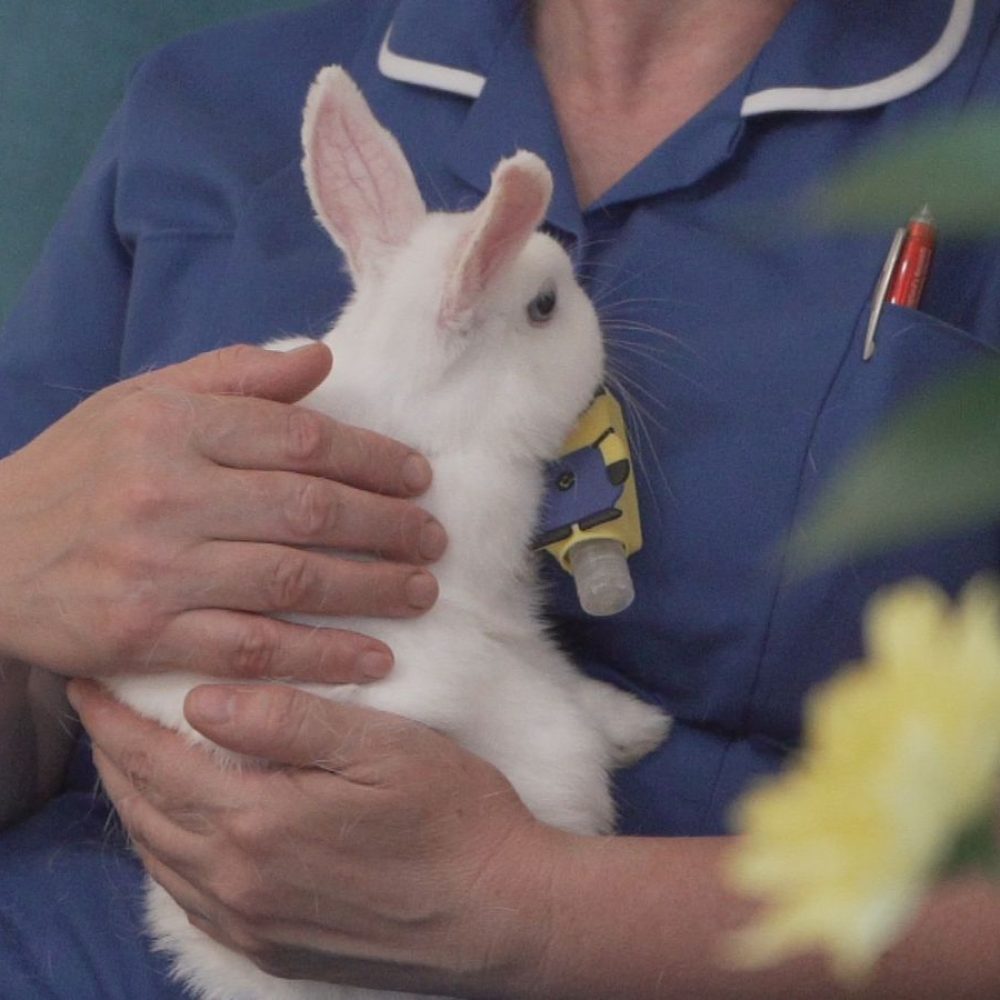 Everdale Grange Leicester Langdale Care Homes